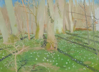 Bosque con anémonas